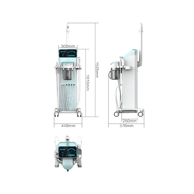 Multifunctional Face Skin Ems Rf Radio Frequency Device Facial Led Photon Korean Skin Care Machine