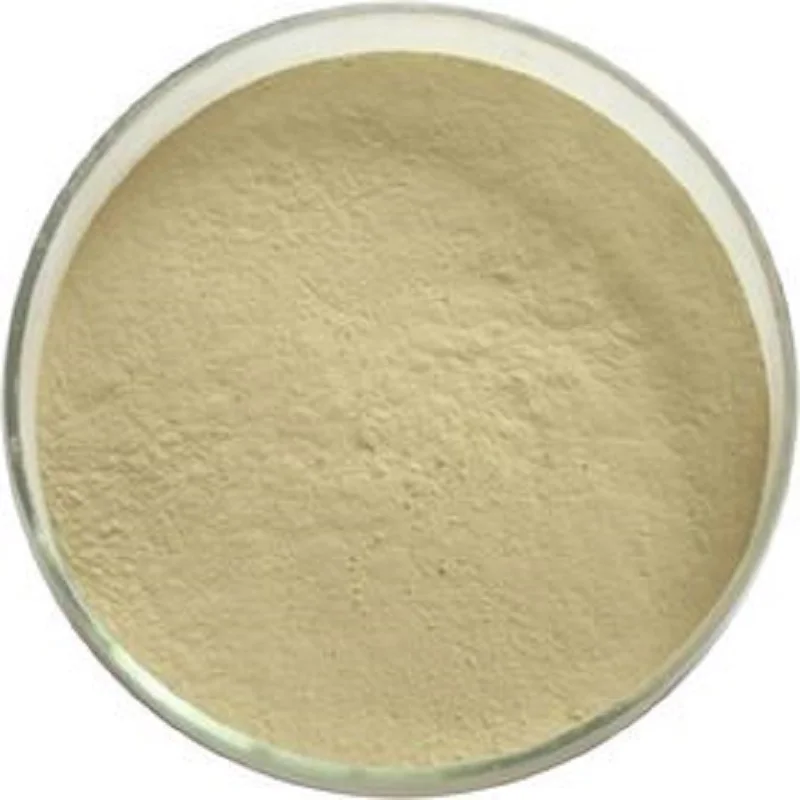 100%  Alginic acid Cas 9005-32-7