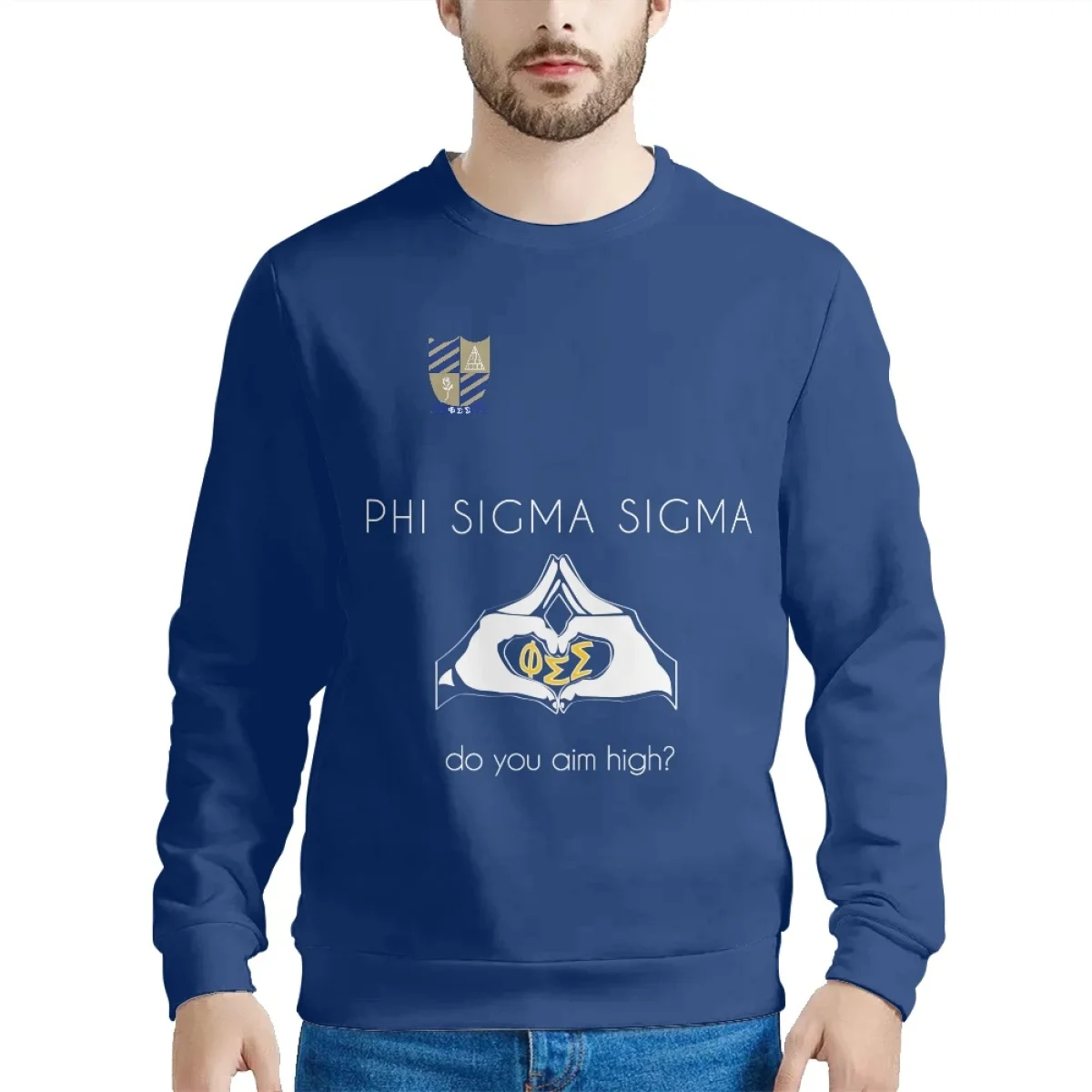 Оптовая продажа высокое качество горячая распродажа Phi Sigma sorority team спортивный свитер на заказ большой размер 2024 мягкий и удобный пуловер