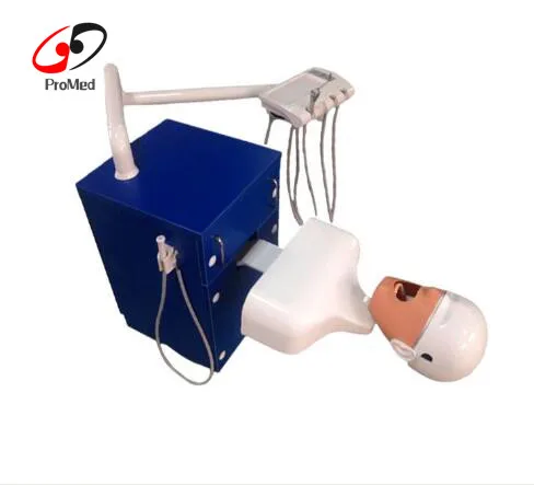 Electric oral training simulation manikin system (test desk optional)