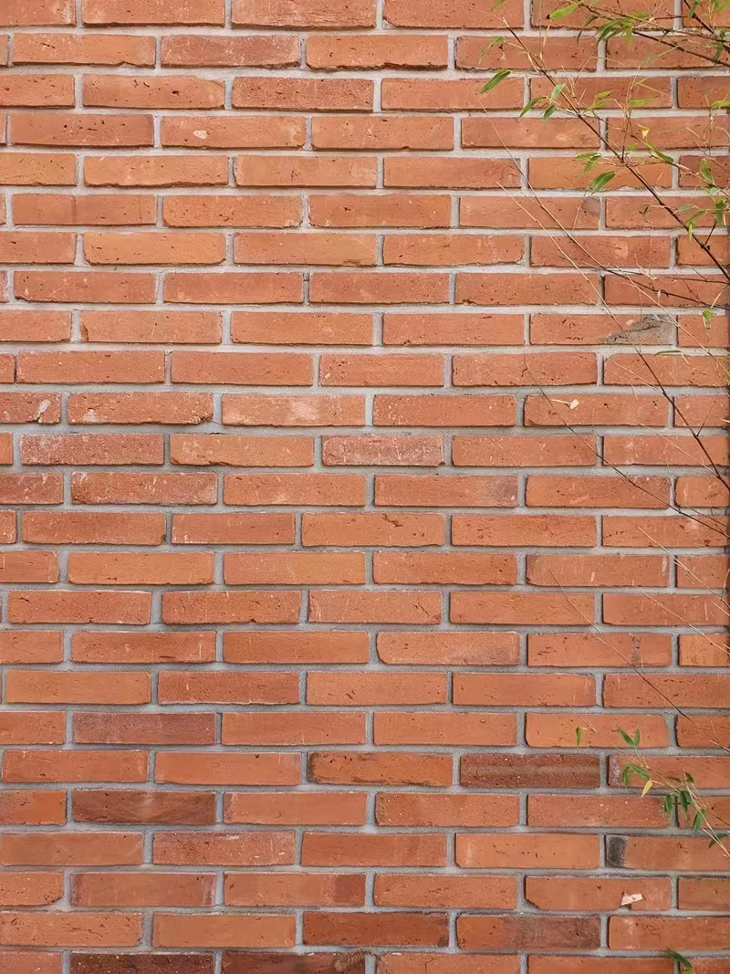 Popular custom brick sintering brick clay brick used in house construction