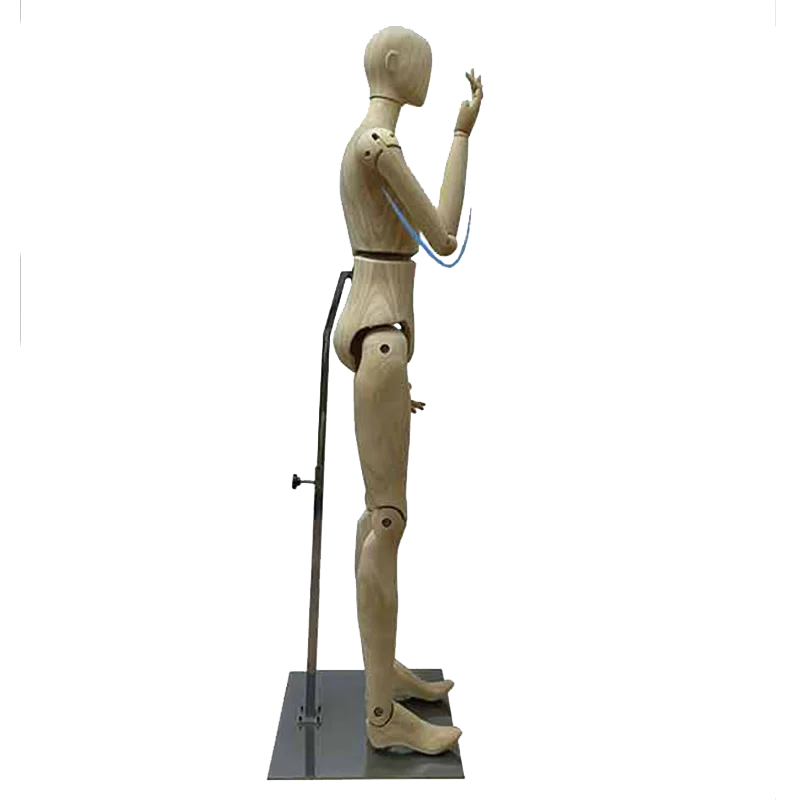 Female Male Mannequin Full Body Mannequins Garment Display adjustable mannequin