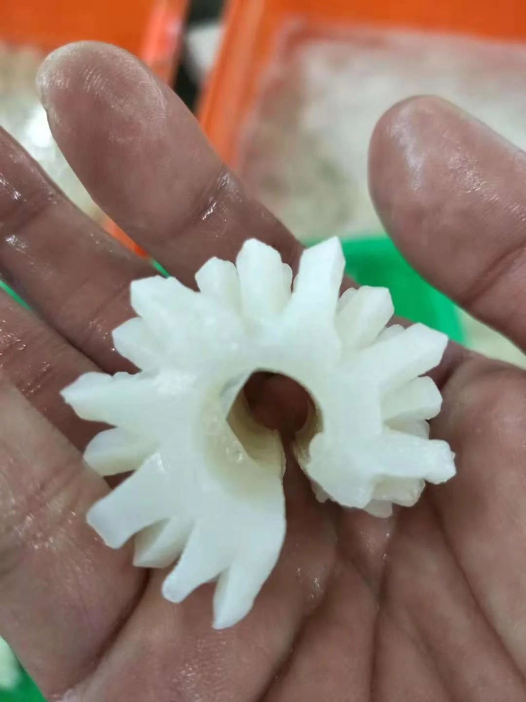 
Good Sale Seafood Fish Frozen Squid 