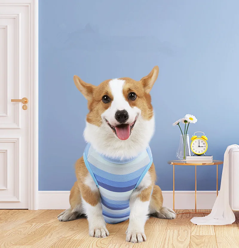 wholesale Pets bite post operative shirt puppy surgical pajamas bodysuit for dogs Neutering Post-weaning Care costume new 2024