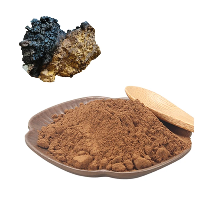 
ganoderma chaga mushroom kosher top quality bulk russian wild siberian chaga dual extract price 