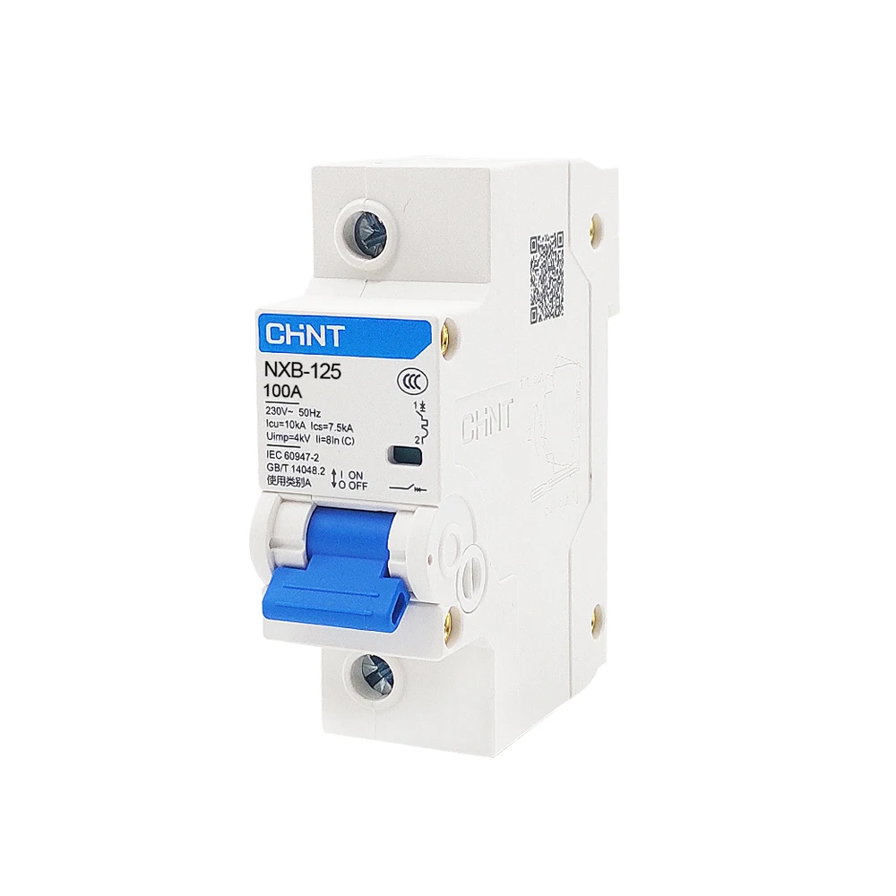 Professional Miniature Circuit Breaker Manufacturer DC CHNT NXB-125 100 Amp