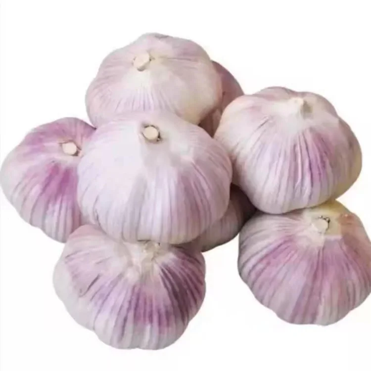 
 Недорогой новый продукт, свежий и вкусный белый 100% натуральный органический чеснок  