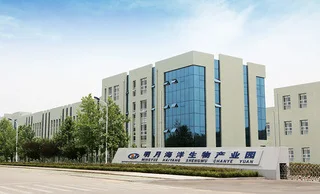 Medical Materials & Accessories Properties and Dressings and Care For Materials Type dressing alginate calcium