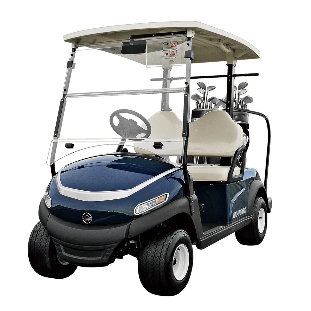 
Lifetime warranty Frame 2 seat golf cart buggy with 48v lithium ion golf cart battery pack with BMS free solar system long 
