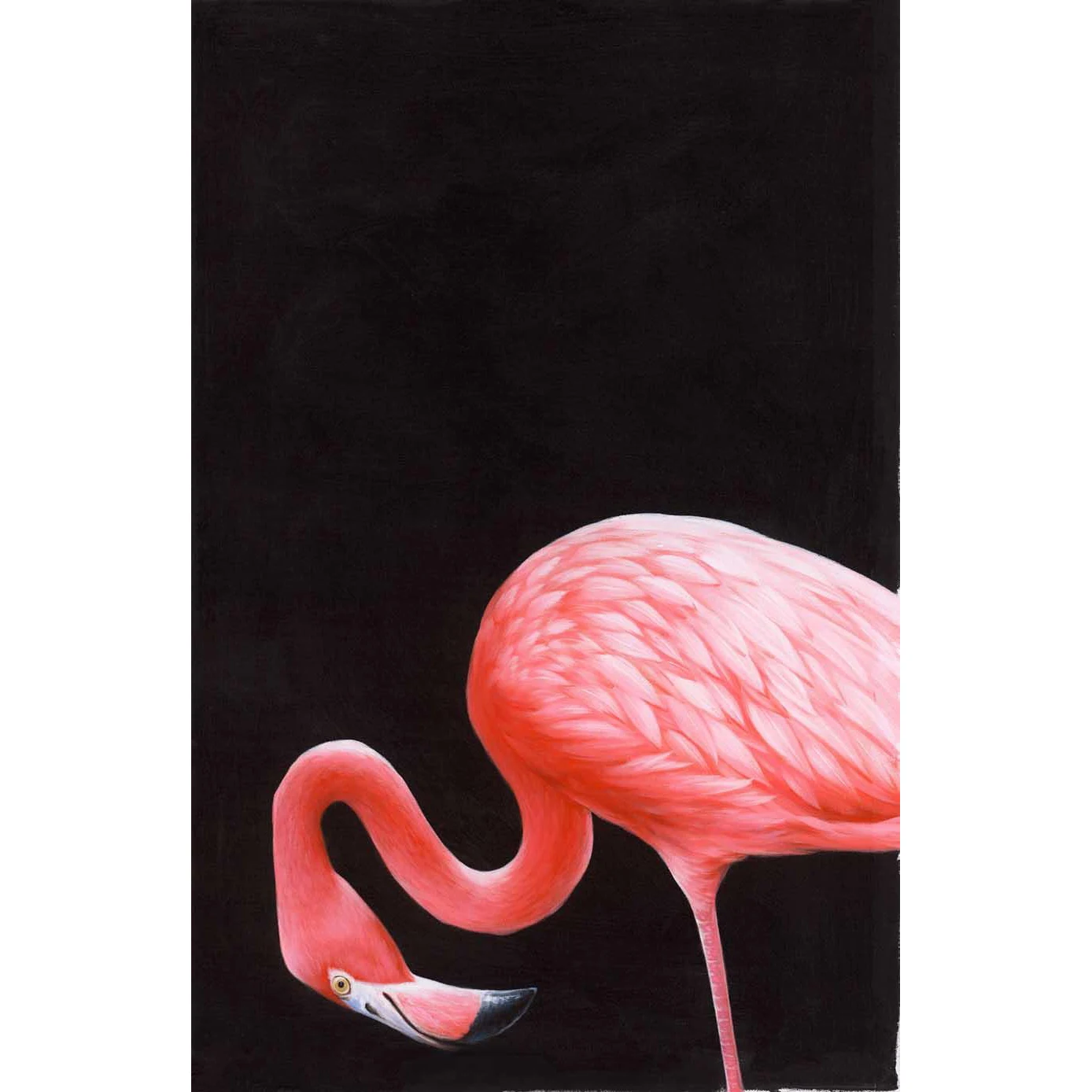 Home Decor Animal poster 3d Print Artwork Wall Painting Dog Decorative Painting Birds Oil Painting For Home Decor