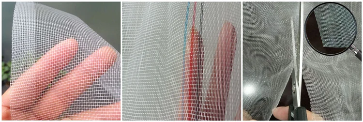 insect net.png