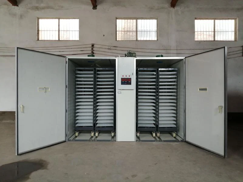 ST-19200 Chicken egg incubator automatic Large Capacity Poultry large egg incubator best price big capacity incubator machine ma