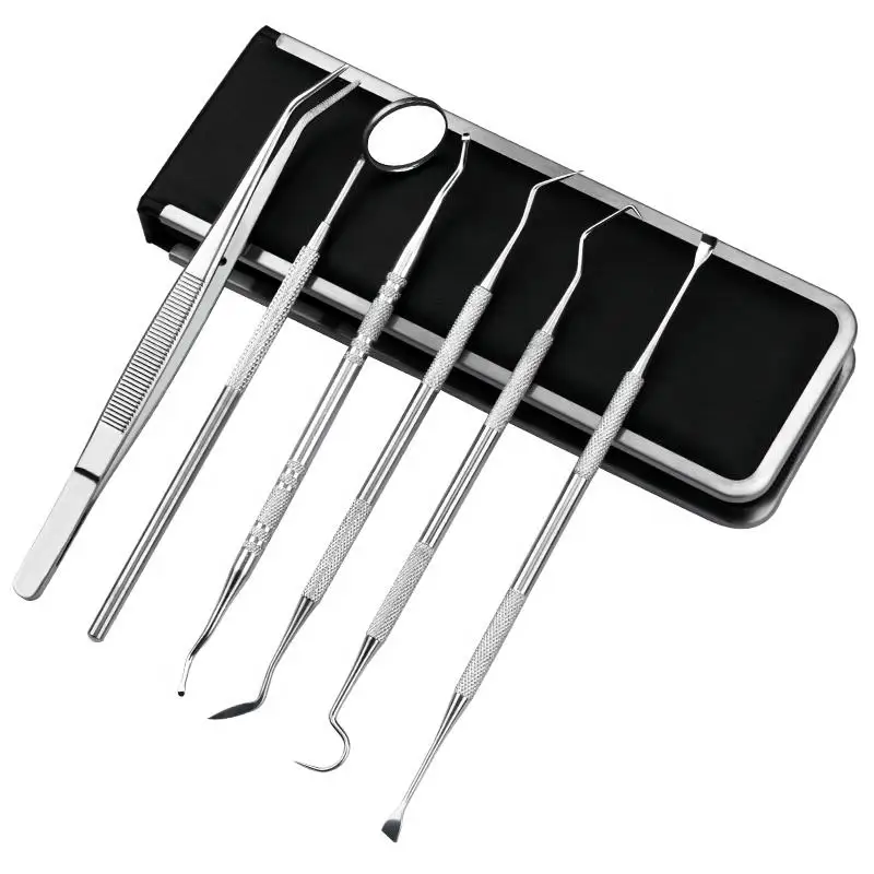 High Quality 6pcs Stainless Steel Oral Hygiene Instrument Dental Tools Set for Teeth Cleaning