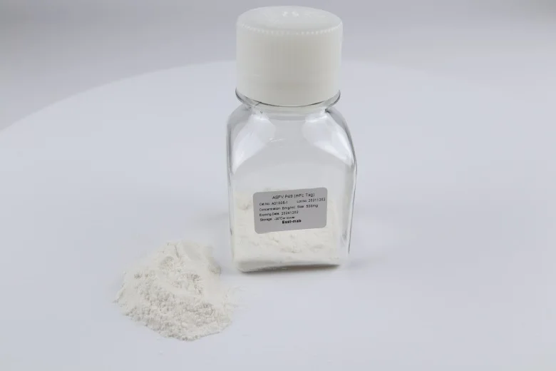 Exclusive Sales Recombiant Protein Powder Antibody PCT-Ab(mIgG2b/mK)