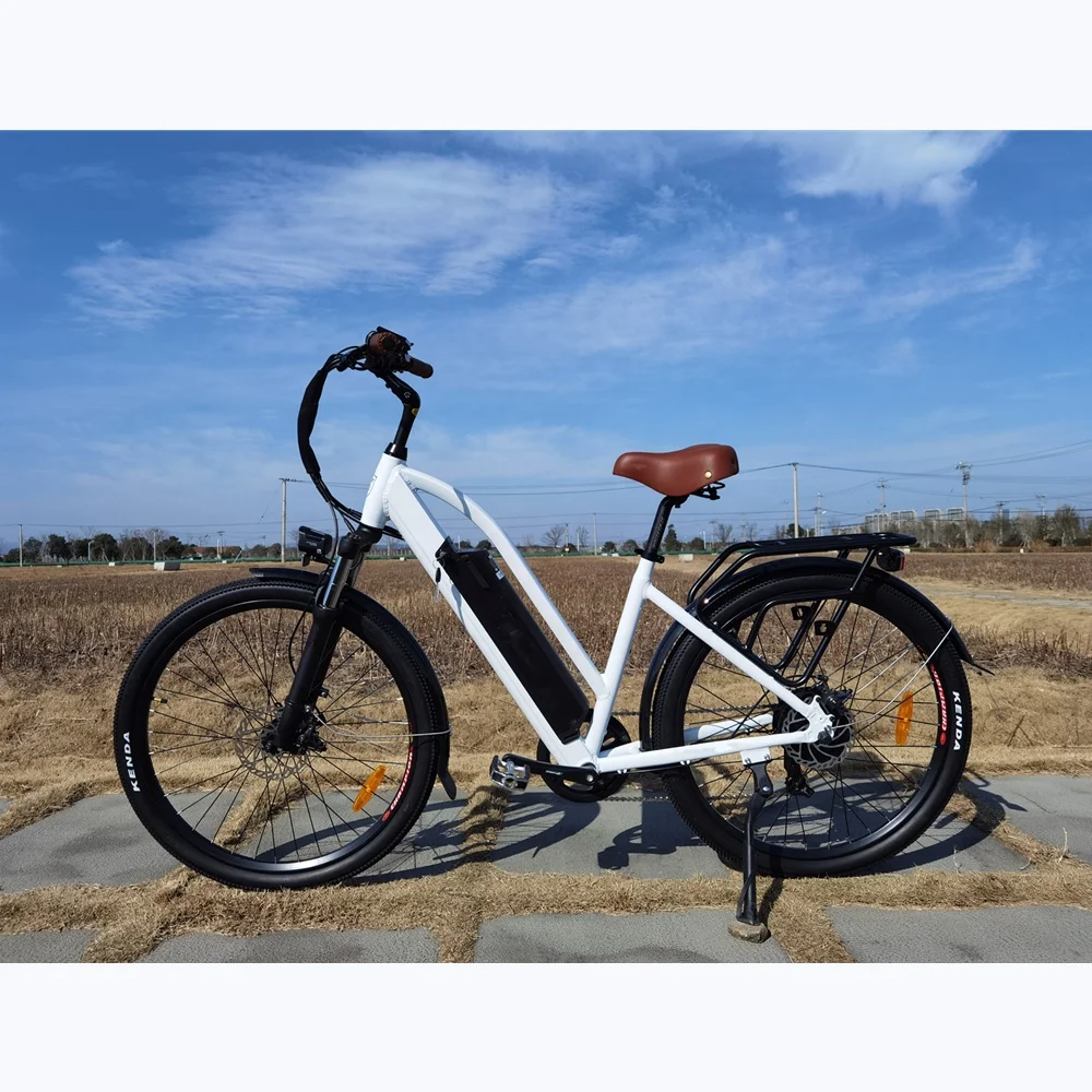 2021 Vintage 48V 14AH Battery Electric City Bike 48V 500W 27.5 Inch Step Through Ebike for Women