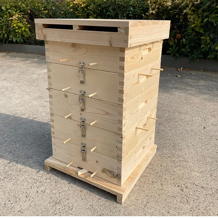 High quality China fir 3/5 layers bee hive hot sale