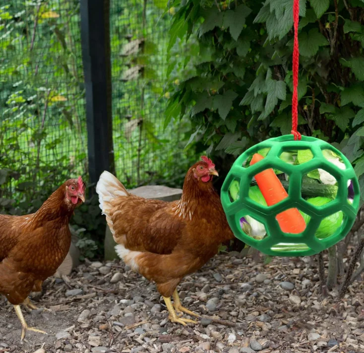 Chicken Vegetable Feeder Ball Fruit Holder Cabbage Feeder Hanging Tool for Hens Chicken Coop Goose Duck Large Birds