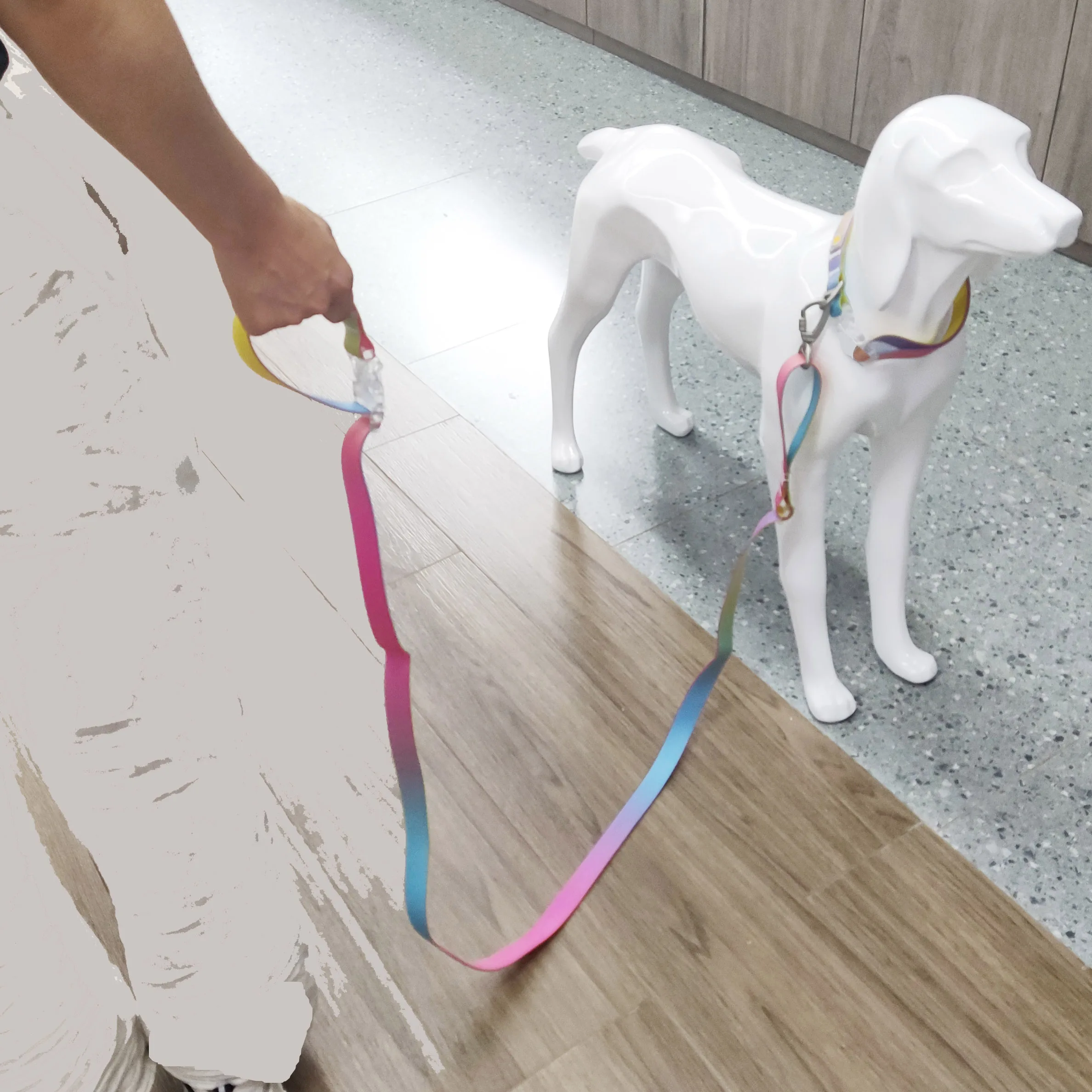 Customized fashion silicone TPU PVC Waterproof multifunctional dog leash and collar with heat transfer logo