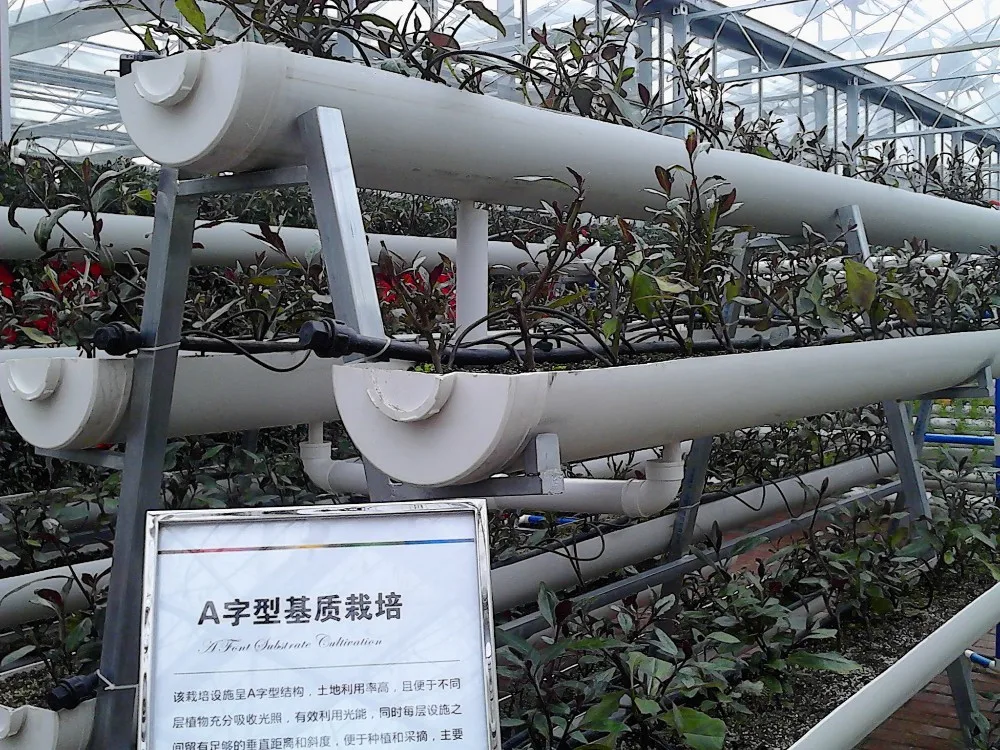 Hydroponic Growing Systems Polytunnels Hydroponic Gutter