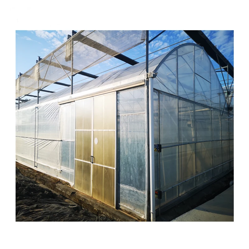 agricultural greenhouses used sale hydroponic system vertical hydroponic system agriculture products