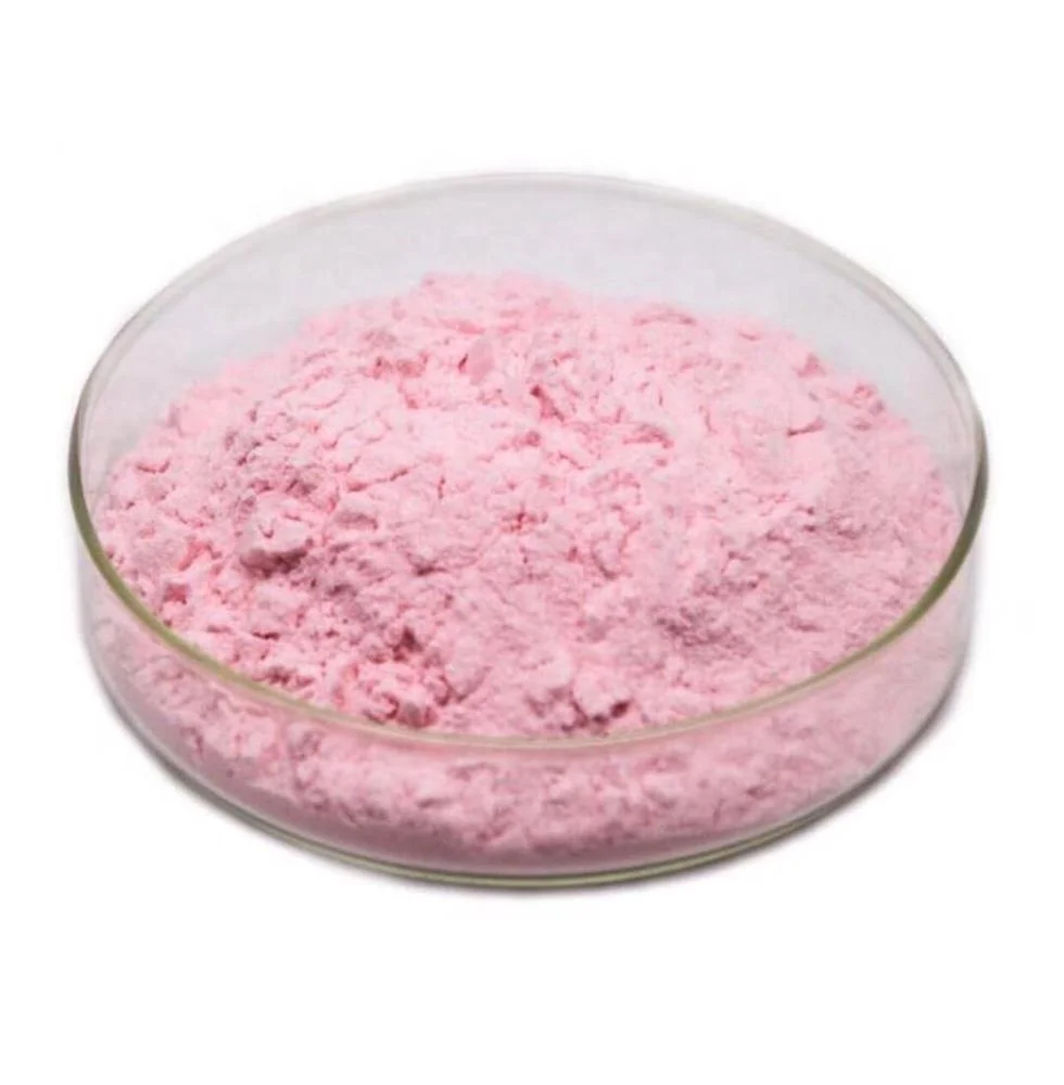 100% Pure Natural Acerola cherry extract Powder