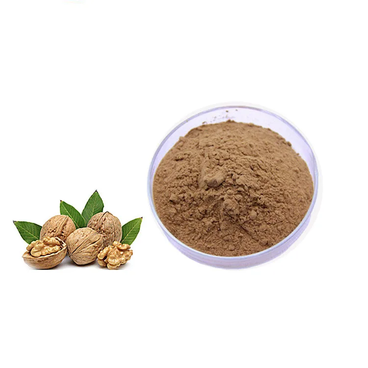 
In Stock Fast Delivery Walnut Peptide Protein Powder with Natural Ingredients 