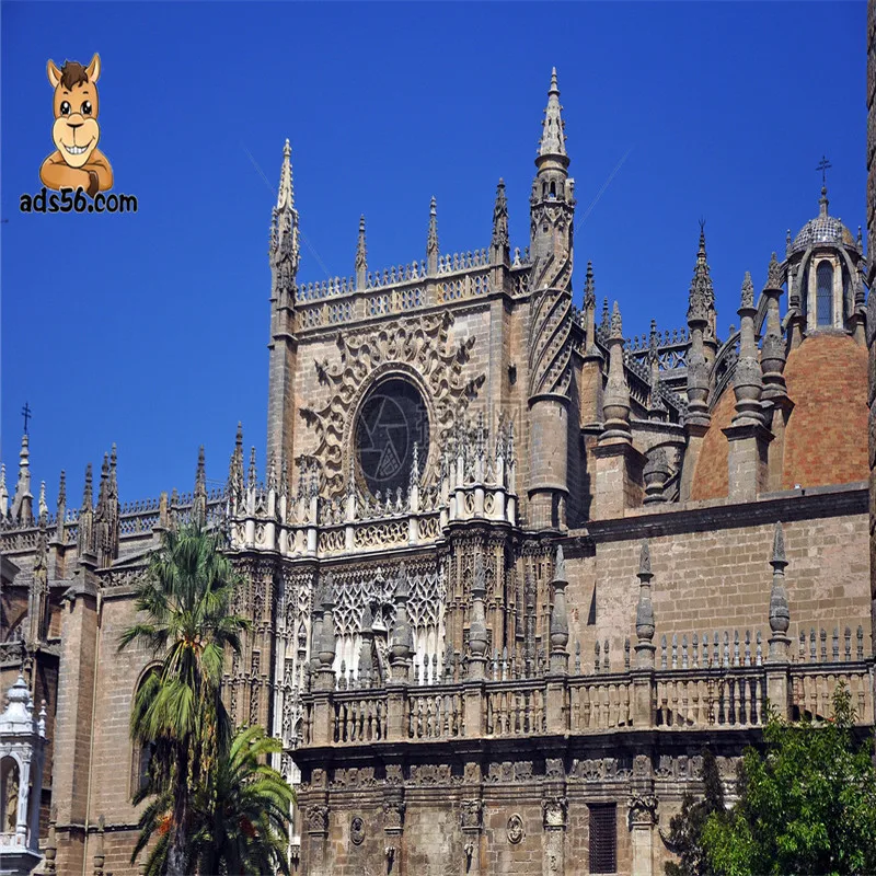 Logistics Companies Forwarding Agent Sea Freight International  to Singapore  with battery/liquid--wechat:86 15271797980