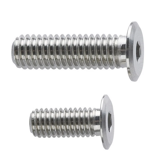 Early Bird Special Stainless Steel CBSTSR Ultra Low Head Hexagon Socket Cap Screws