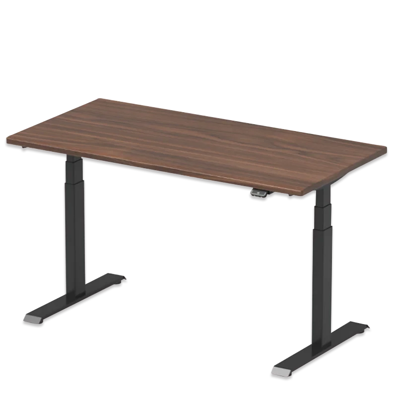 Modern Dual-Motor Ergonomic Adjustable Elevator Vertical Desk Unique Wooden Design with Extendable Feature