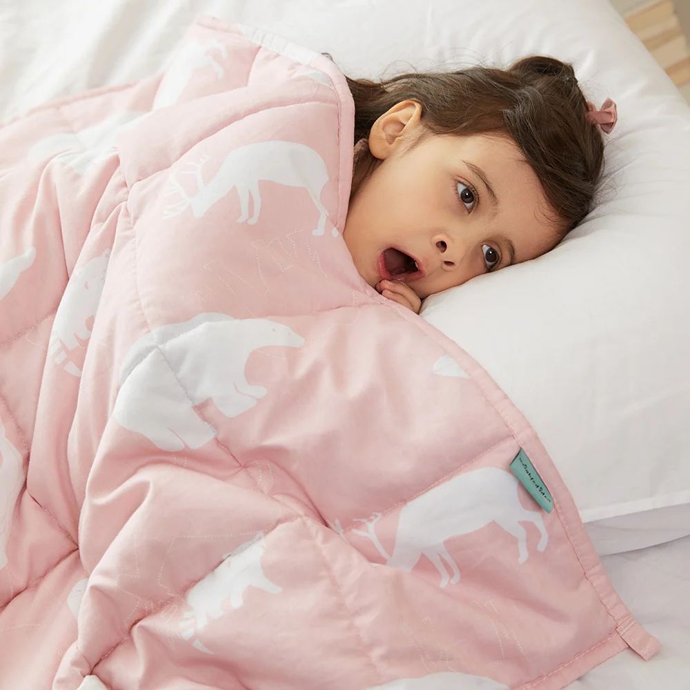 Wholesale Custom 48*72Inch 15/20/25/30Lbs Autism Anxiety Minky Blanket Weighted for kids