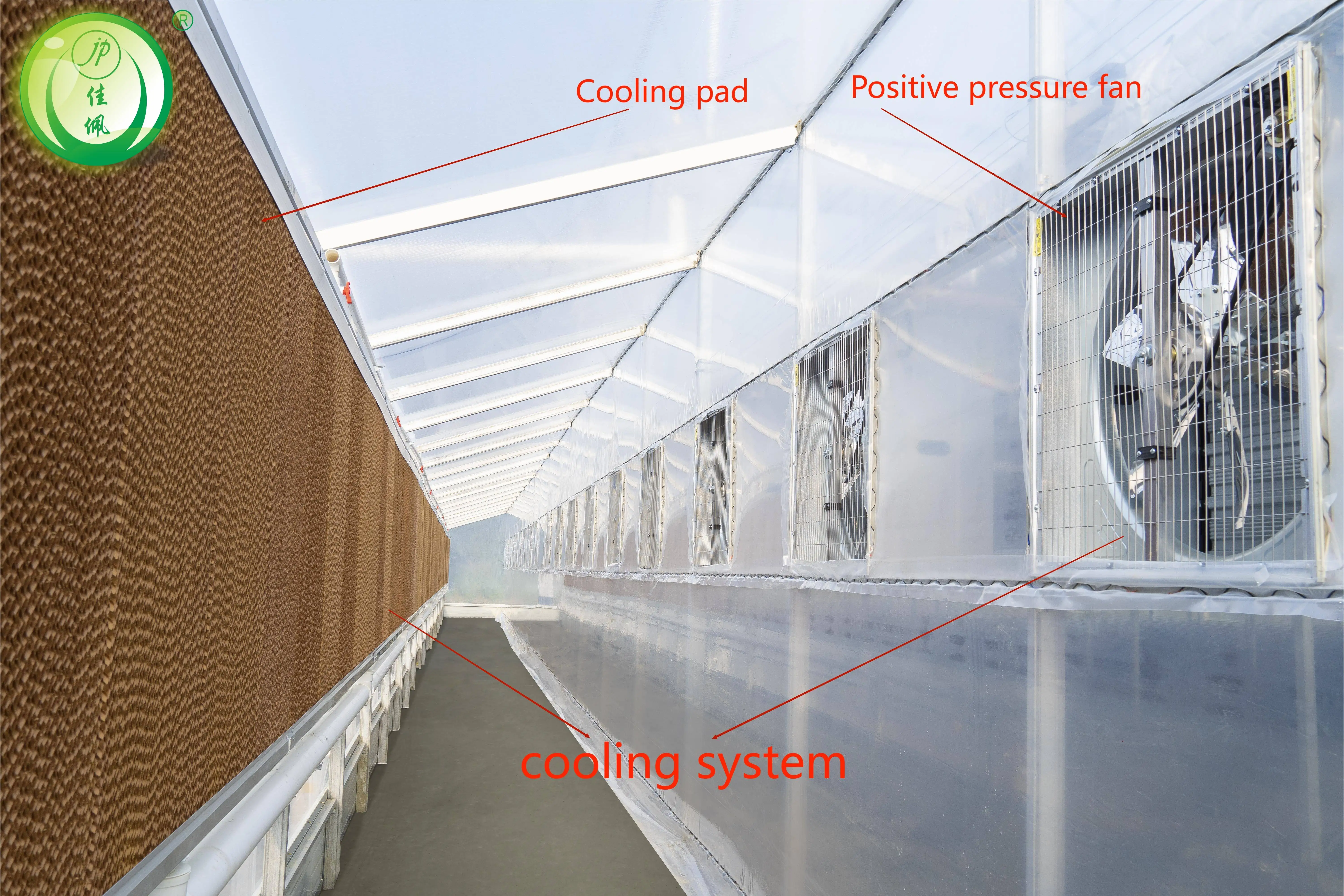 Agricultural Vegetable Growing Green House Multi-span PE Plastic Film Greenhouses Poly tunnel greenhouse with irrigation system