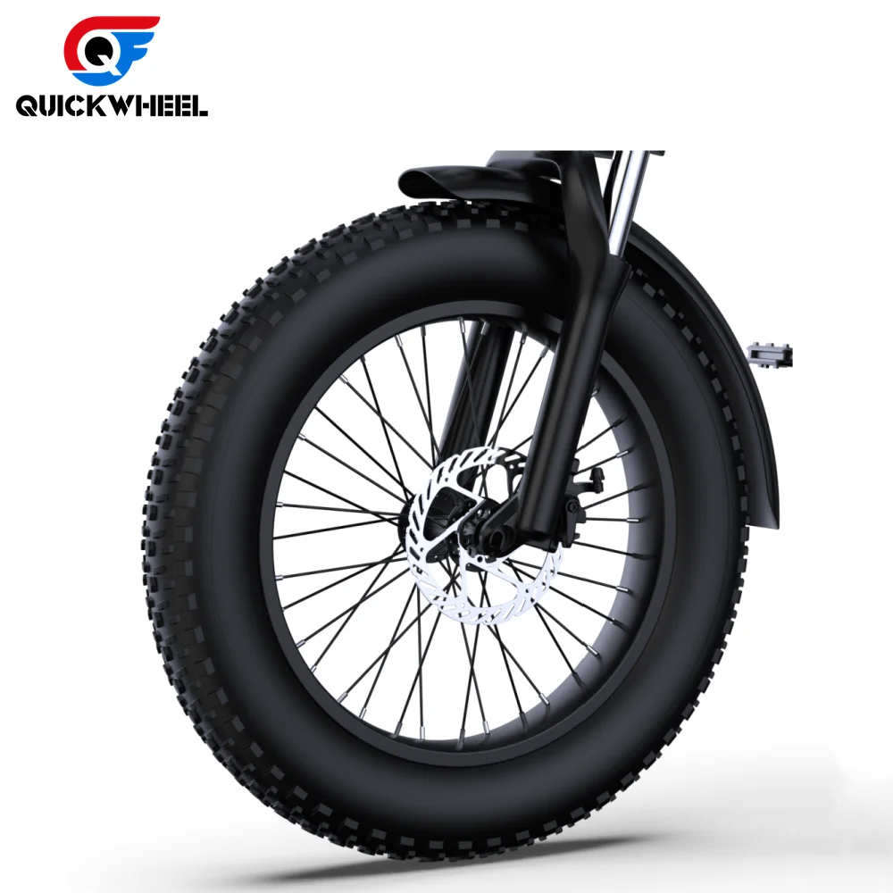 Factory Direct 20 Inch 48V 15Ah 1000W Motor Ebike Bicycle Powerful Mountain Electric Dirt Bike Fat Tire Electric Bike 24 Volt
