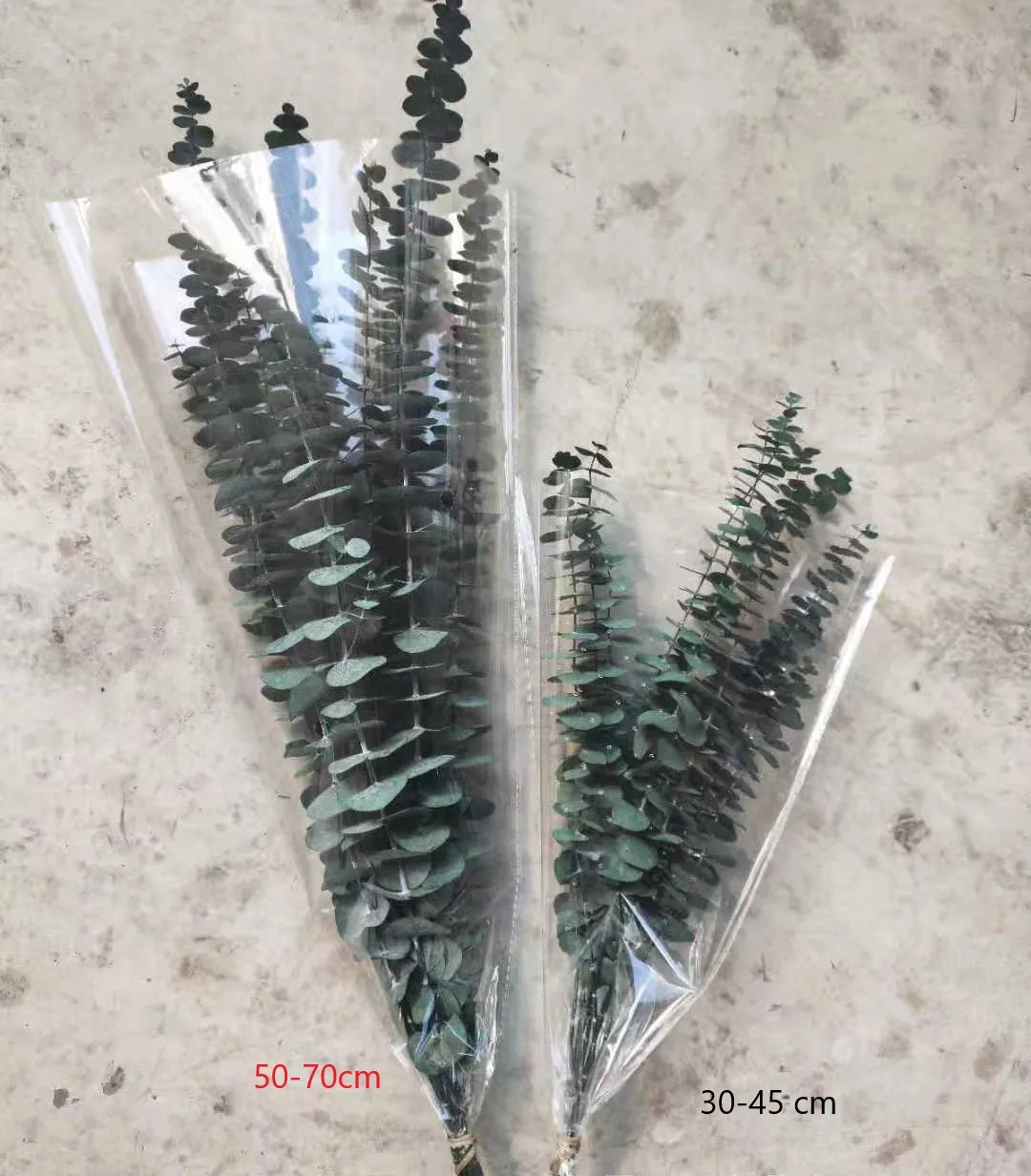 Preserved natural dried Eucalyptus Leaves green round leaf branches flower, Hanging Fragrance Real Plant, flower arrangement