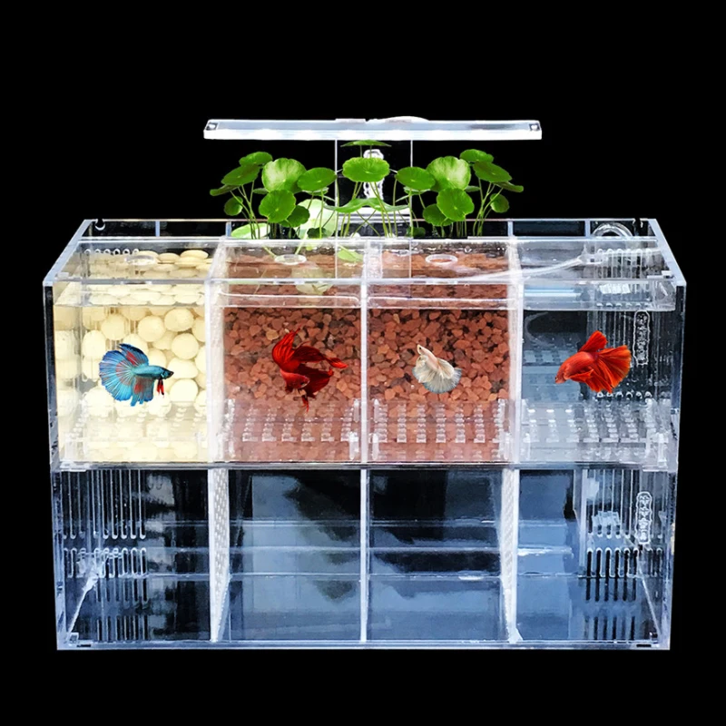 Isolation aquarium acrylic Ecology small fish tank LED goldfish bowl
