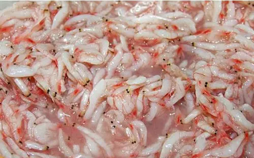 Salted Baby Shrimps from Vietnam for Korea Shrimp Prawn Market  Light Pink Sea Catch Canned/ Whatsap/ Kakaotalk 0084 989 322 607