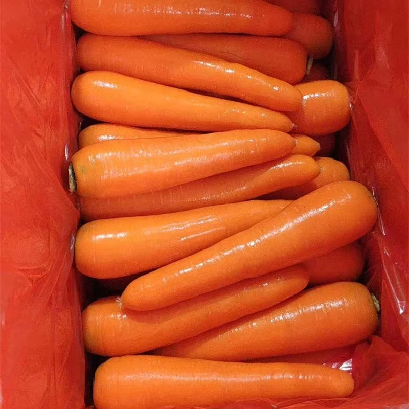 Fresh carrot