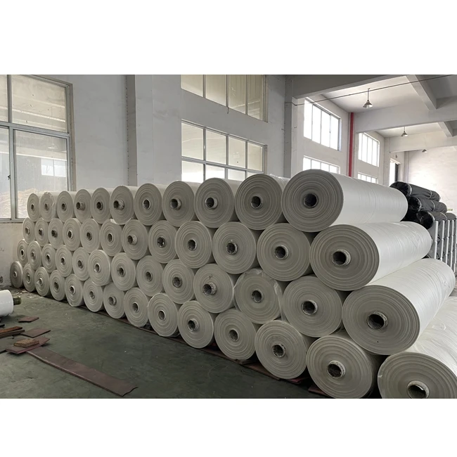 Good Quality  New Product Design Arrivals Window Antifog Film Protection