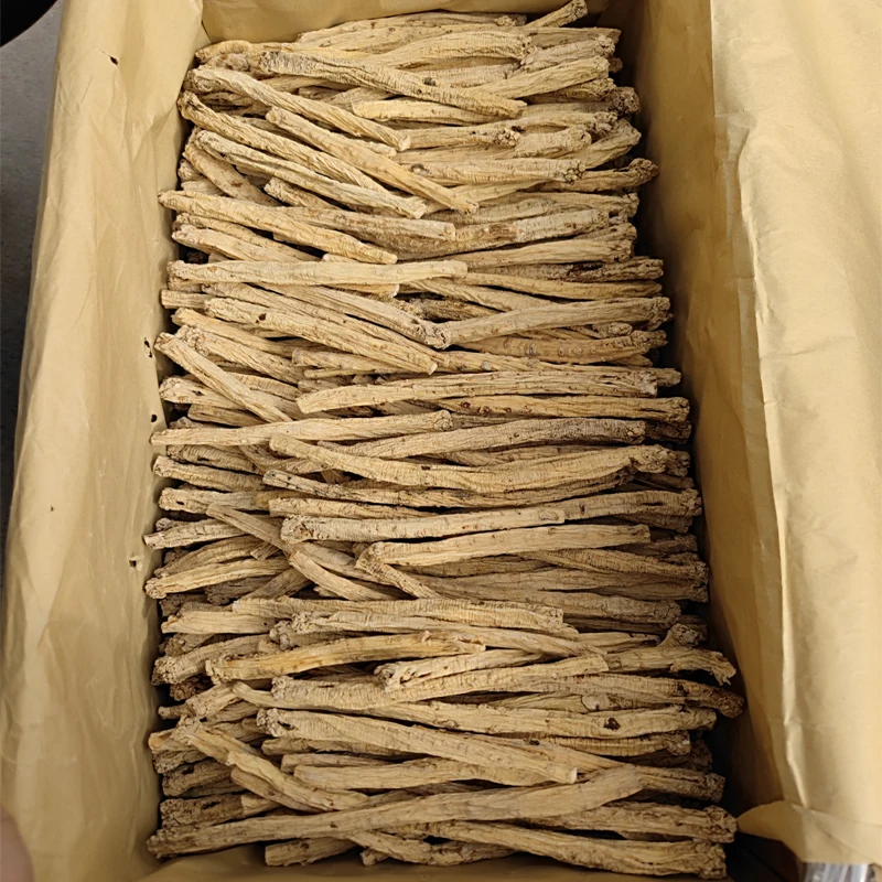 Wholesale artificial second class Chinese herb dangshen dried codonopsis health food Gansu Zhongzai