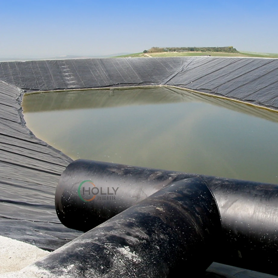 HDPE Geomembrane for Fish Pond/Agriculture/Dam/Landfill/Lake/Biogas/Aquaculture Project