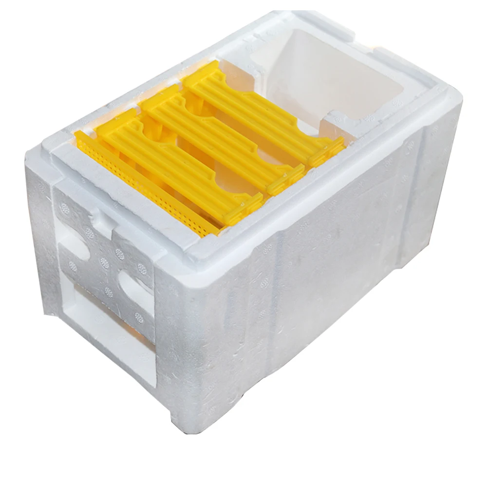 Plastic queen rearing nuc bee box mini queen bee mating box