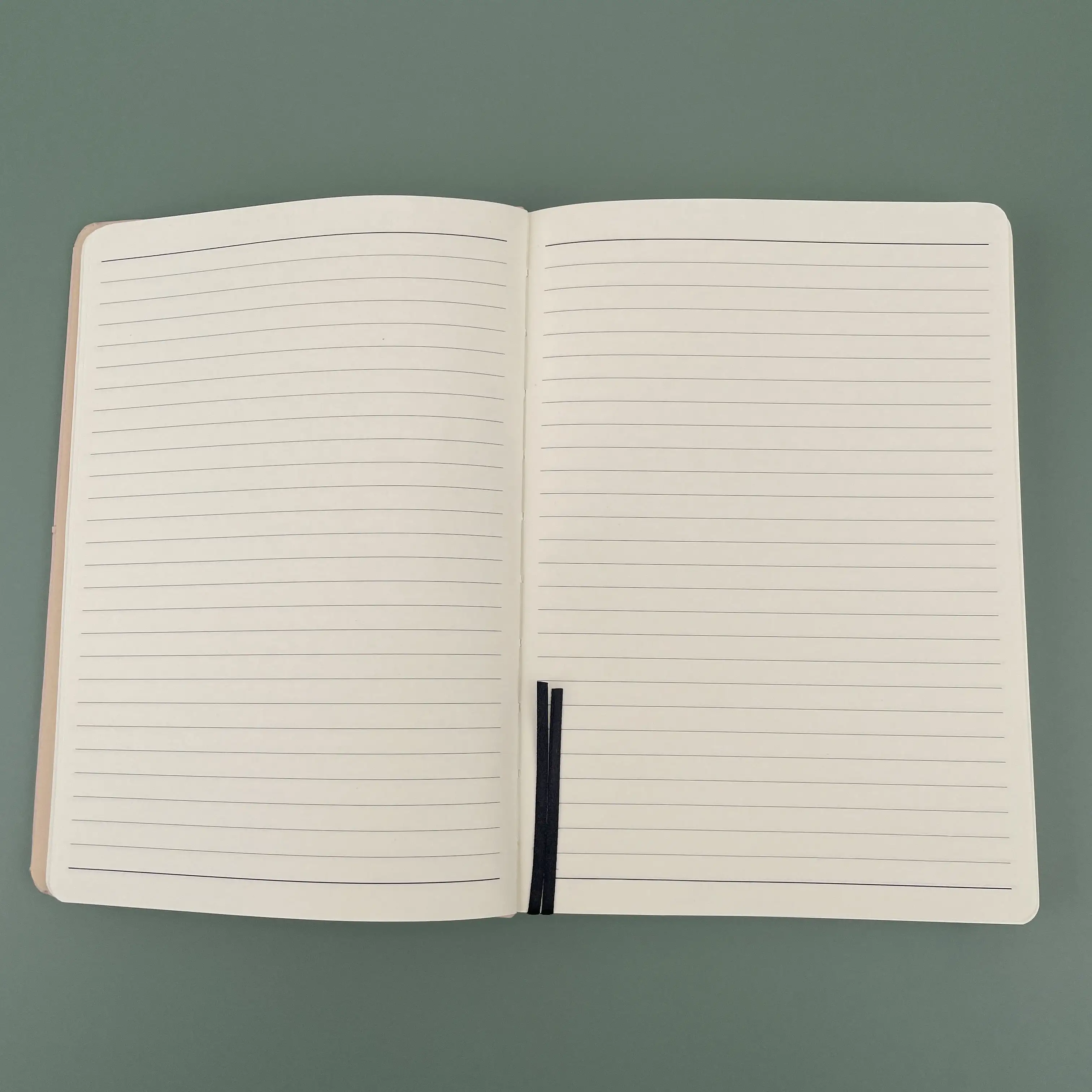 With Bellyband pocket  ribbon148x210mm Case binding Fruit PU Cover round corner customized Leather Cover Notebook