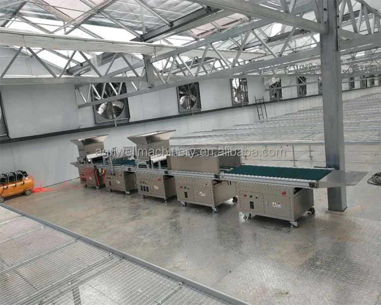 Semi-automatic plug seeder vegetable greenhouse automatic seedling machine pepper tomato automatic seeder