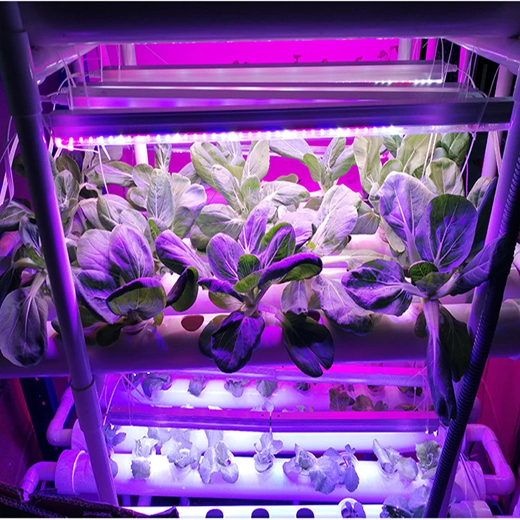 DIY NFT 3 Layer 12 Pipe 108 holes Hydroponics Nft System Indoor Home hydroponic Gardening Small System