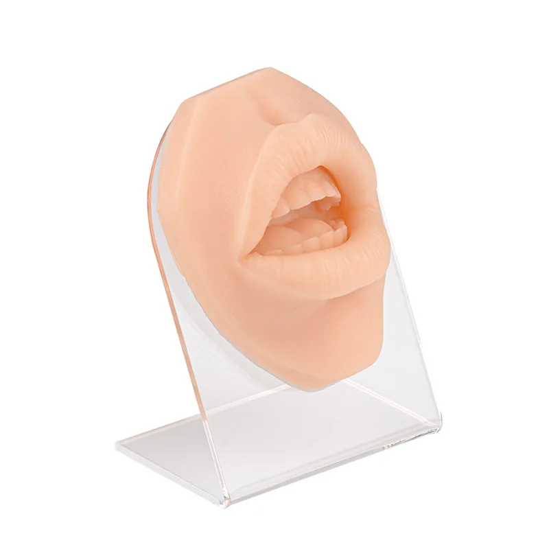 Snake Bite Mouth Piercing Model Silicone Body Parts for Piercing & Suture & Injection & Lip Tattoo Techniques Practice