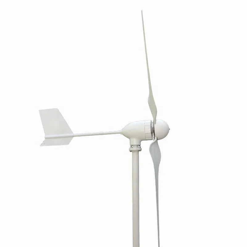 Wind energy 1000w 1kw 24v 48v low noise roof horizontal Wind Turbine Generator with MPPT controller