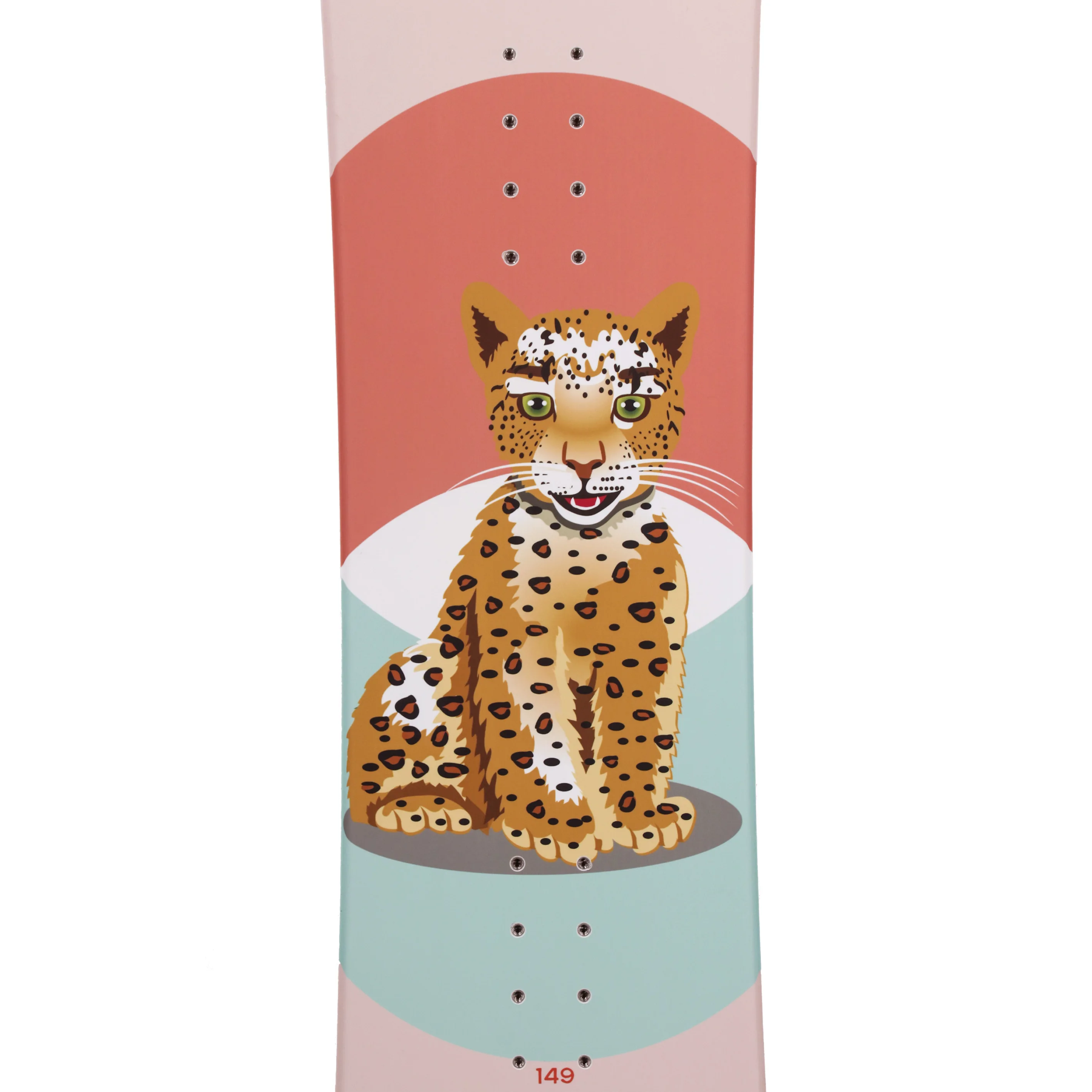 
snowboard freestyle gift snowboard 
