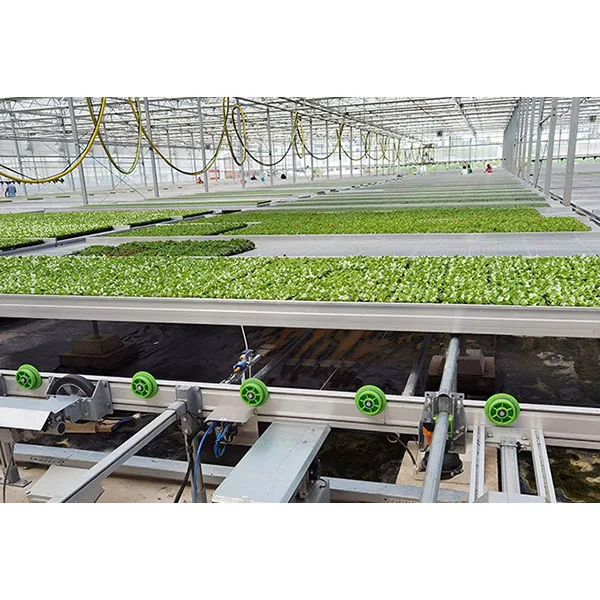 High-quality Full-automatic tidal seedbed with movable system rolling table for greenhouse