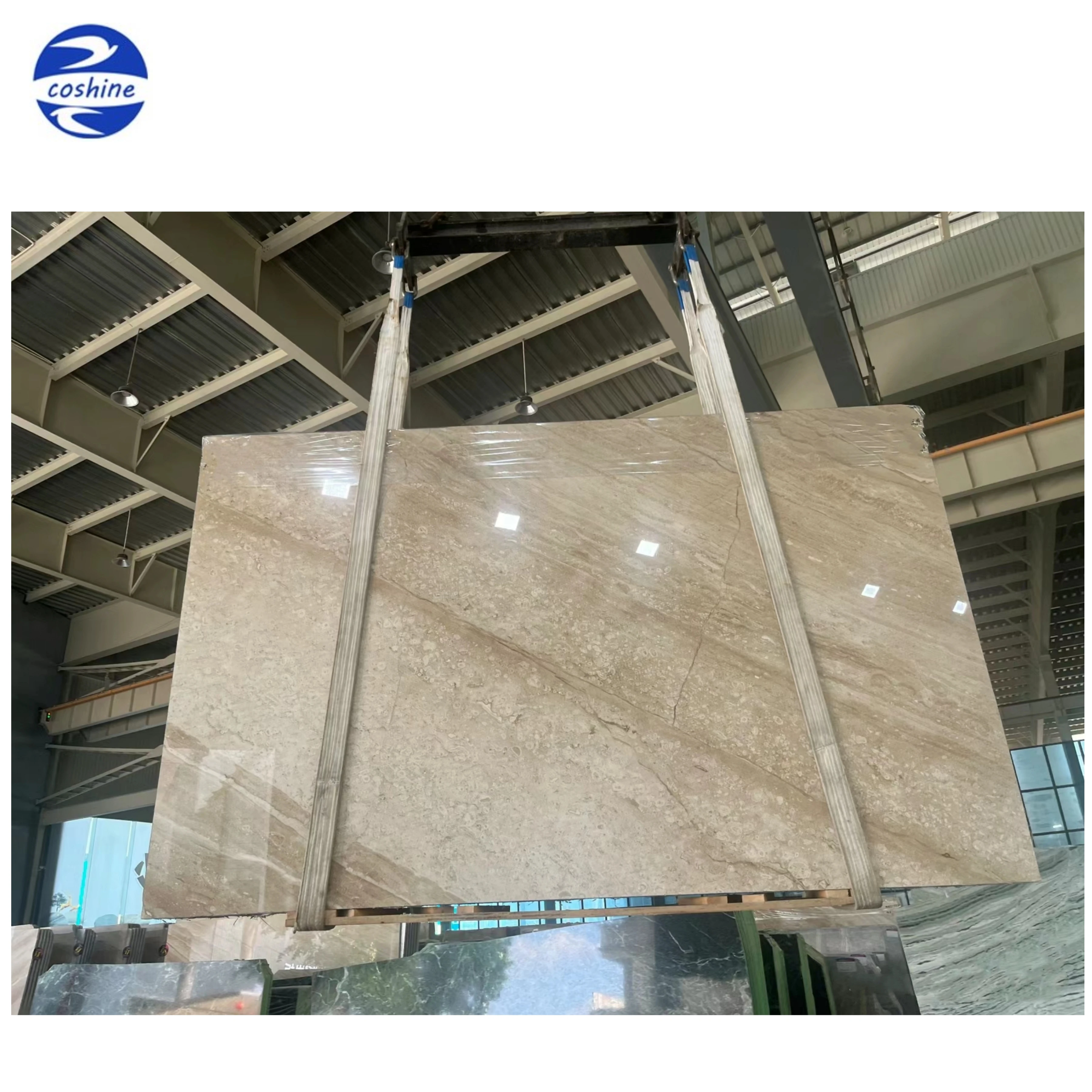 Dino/daino Reale Beige Angel Marble Slab Daine Venato Diano Gold Tile Types Yellow Parlato Queen Rosso Cream Wall Cladding