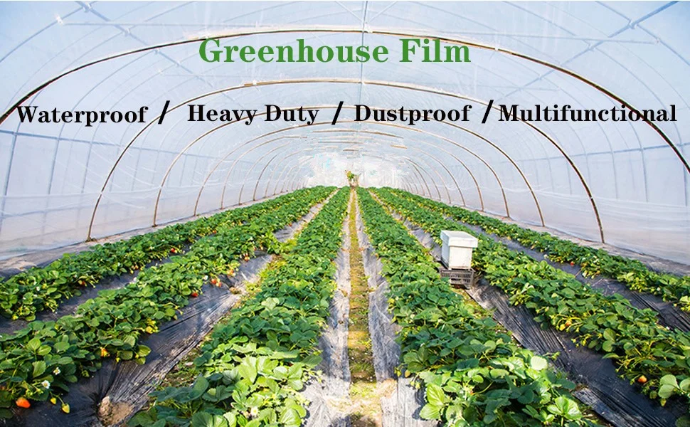 Greenhouse Film Clear Greenhouse Cover UV Resistant Covering Plastic Sheeting Anti-drip Plastic Film Polyethylene Cover