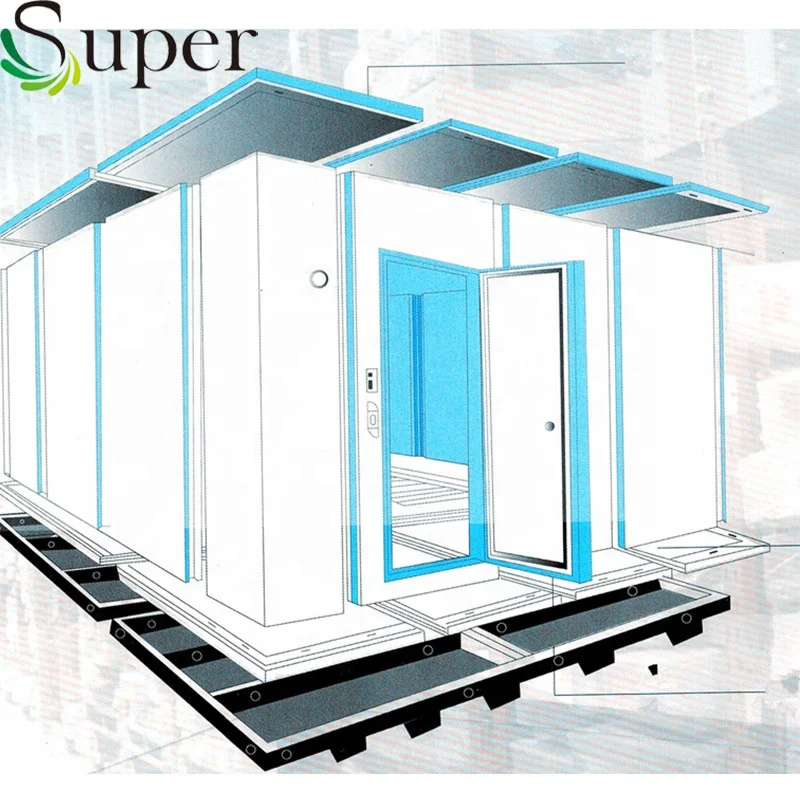 
Hot Sale Steel Structural Cold Room Storage Easy Installation 